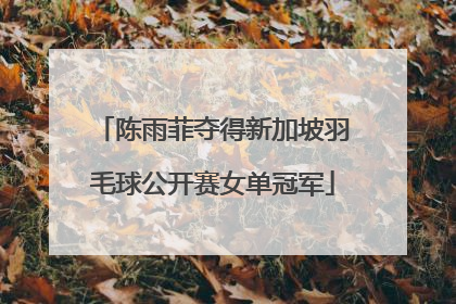 陈雨菲夺得新加坡羽毛球公开赛女单冠军