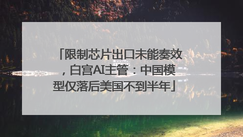 限制芯片出口未能奏效，白宫AI主管：中国模型仅落后美国不到半年