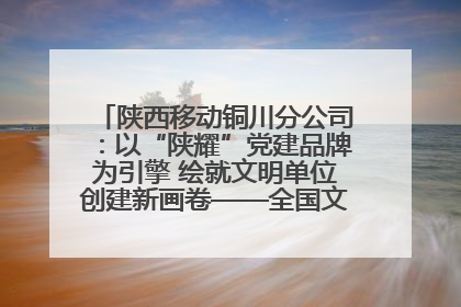 陕西移动铜川分公司：以“陕耀”党建品牌为引擎 绘就文明单位创建新画卷——全国文明单位创建纪实