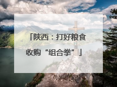 陕西：打好粮食收购“组合拳”