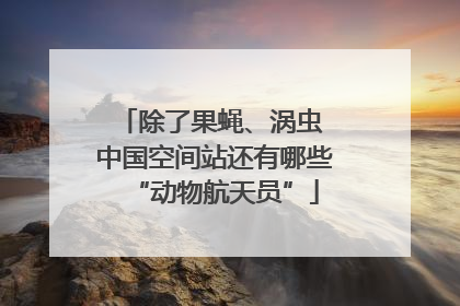 除了果蝇、涡虫 中国空间站还有哪些“动物航天员”