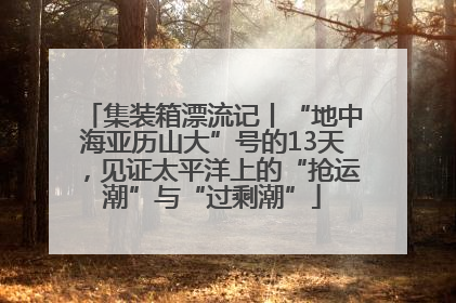 集装箱漂流记丨“地中海亚历山大”号的13天，见证太平洋上的“抢运潮”与“过剩潮”