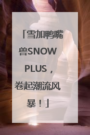 雪加鸭嘴兽SNOWPLUS，卷起潮流风暴！