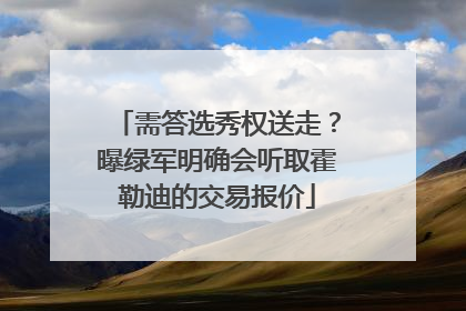 需答选秀权送走？曝绿军明确会听取霍勒迪的交易报价