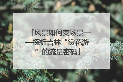 风景如何变场景——探析吉林“赏花游”的流量密码