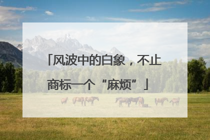 风波中的白象，不止商标一个“麻烦”