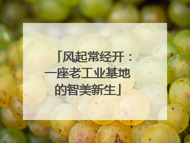 风起常经开：一座老工业基地的智美新生