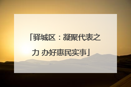 驿城区：凝聚代表之力 办好惠民实事
