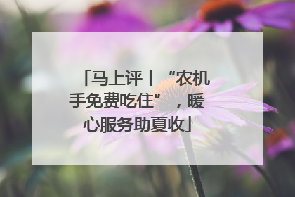 马上评丨“农机手免费吃住”，暖心服务助夏收