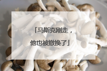 马斯克刚走，他也被撤换了