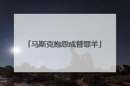 马斯克抱怨成替罪羊