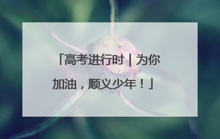 高考进行时｜为你加油，顺义少年！