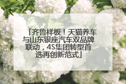 齐鲁样板！天猫养车与山东银座汽车双品牌联动，4S集团转型首选再创新范式