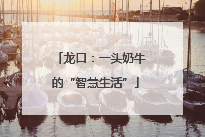 龙口：一头奶牛的“智慧生活”