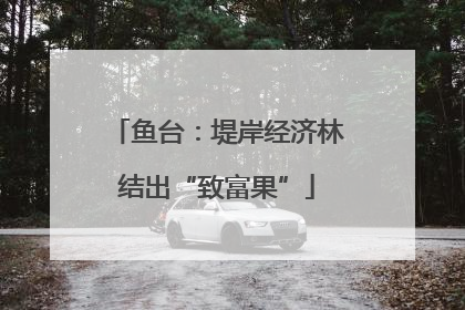 鱼台：堤岸经济林结出“致富果”