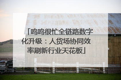 鸣鸣很忙全链路数字化升级：人货场协同效率刷新行业天花板