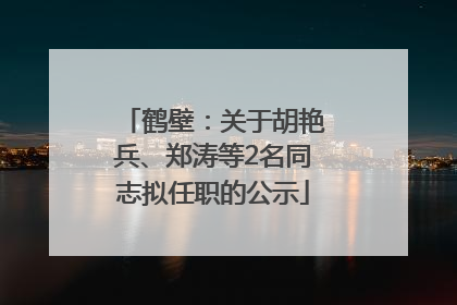 鹤壁：关于胡艳兵、郑涛等2名同志拟任职的公示