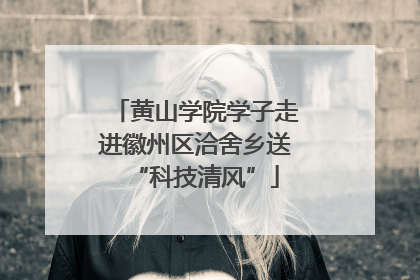 黄山学院学子走进徽州区洽舍乡送“科技清风”