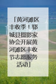 黄河滩区丰收季！郓城县摄影家协会开展黄河滩区丰收节志愿服务活动