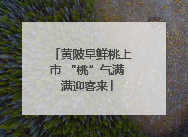 黄陂早鲜桃上市 “桃”气满满迎客来