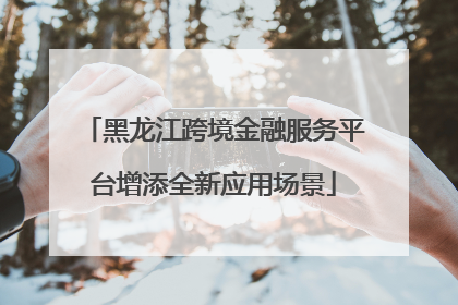 黑龙江跨境金融服务平台增添全新应用场景