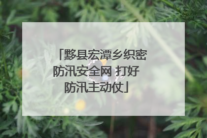 黟县宏潭乡织密防汛安全网 打好防汛主动仗