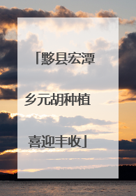 黟县宏潭乡元胡种植喜迎丰收
