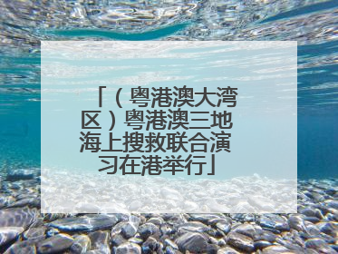 （粤港澳大湾区）粤港澳三地海上搜救联合演习在港举行