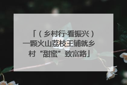 （乡村行·看振兴）一颗火山荔枝王铺就乡村“甜蜜”致富路