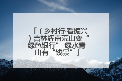 （乡村行·看振兴）吉林辉南荒山变“绿色银行” 绿水青山有“钱景”