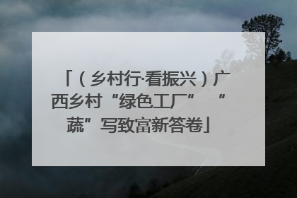 （乡村行·看振兴）广西乡村“绿色工厂” “蔬”写致富新答卷