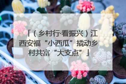 （乡村行·看振兴）江西安福“小西瓜”撬动乡村共富“大支点”
