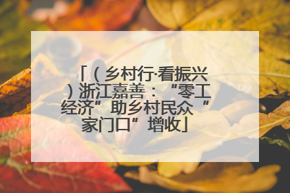 （乡村行·看振兴）浙江嘉善：“零工经济”助乡村民众“家门口”增收