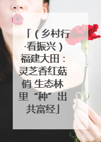 （乡村行·看振兴）福建大田：灵芝香红菇俏 生态林里“种”出共富经