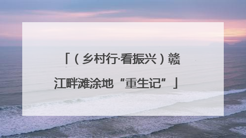 （乡村行·看振兴）赣江畔滩涂地“重生记”