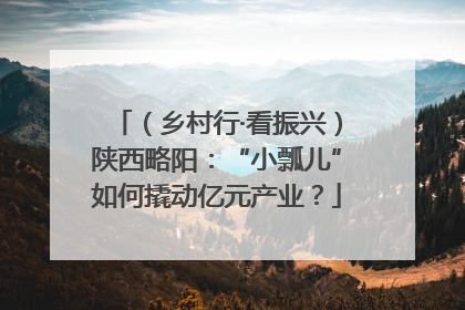 （乡村行·看振兴）陕西略阳：“小瓢儿”如何撬动亿元产业？