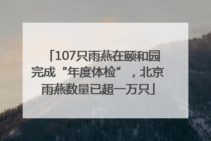 107只雨燕在颐和园完成“年度体检”，北京雨燕数量已超一万只