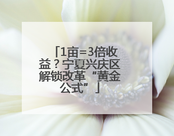 1亩=3倍收益？宁夏兴庆区解锁改革“黄金公式”