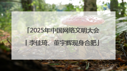 2025年中国网络文明大会丨李佳琦、董宇辉现身合肥