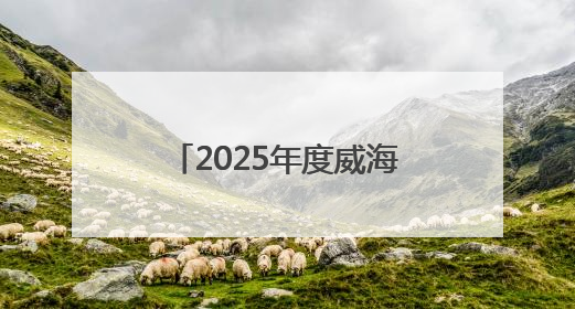 2025年度威海市投资促进中心招聘优秀人才公告