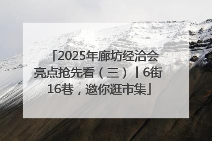 2025年廊坊经洽会亮点抢先看（三）丨6街16巷，邀你逛市集