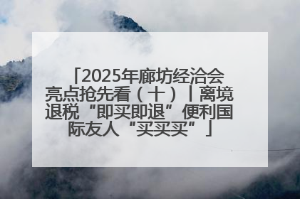 2025年廊坊经洽会亮点抢先看（十）丨离境退税“即买即退”便利国际友人“买买买”