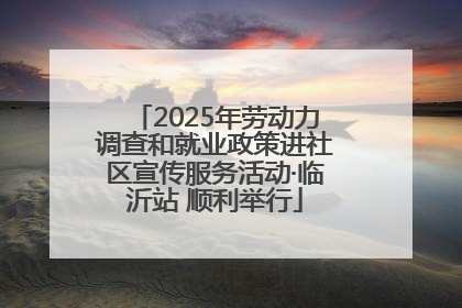 2025年劳动力调查和就业政策进社区宣传服务活动·临沂站 顺利举行
