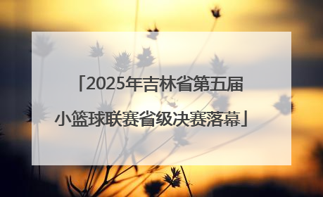 2025年吉林省第五届小篮球联赛省级决赛落幕