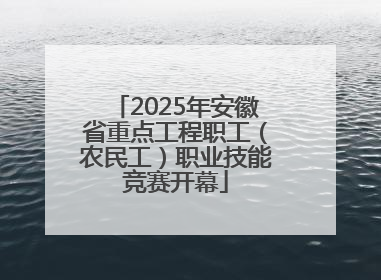 2025年安徽省重点工程职工（农民工）职业技能竞赛开幕