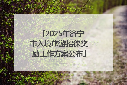 2025年济宁市入境旅游招徕奖励工作方案公布