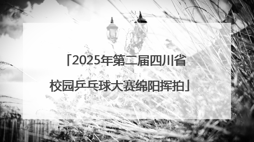 2025年第二届四川省校园乒乓球大赛绵阳挥拍