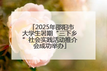 2025年邵阳市大学生暑期“三下乡”社会实践活动推介会成功举办