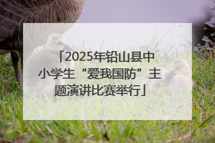 2025年铅山县中小学生“爱我国防”主题演讲比赛举行
