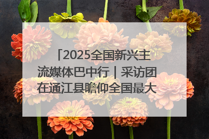 2025全国新兴主流媒体巴中行｜采访团在通江县瞻仰全国最大红军烈士陵园